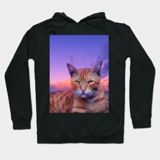 Orange tabby cat in the sky painting Hoodie